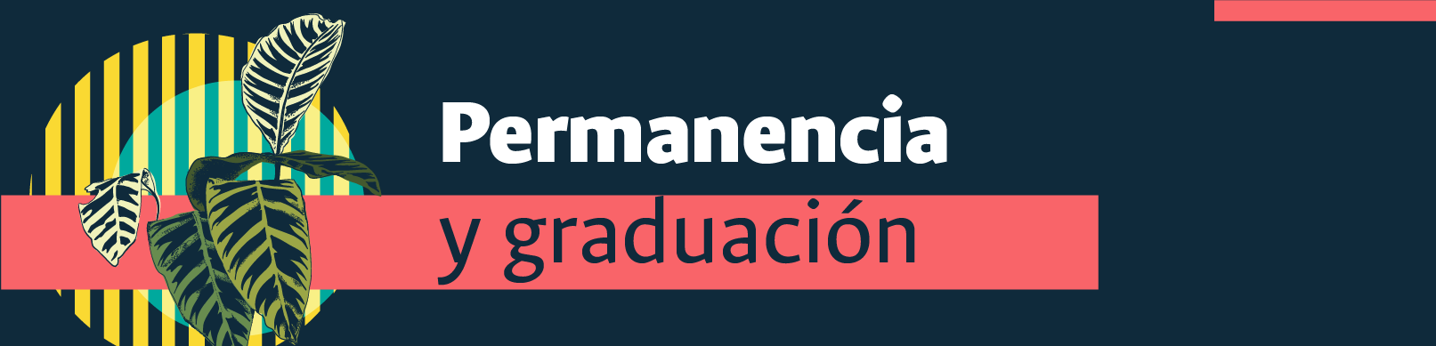 Banner permanencia y graduacion 2