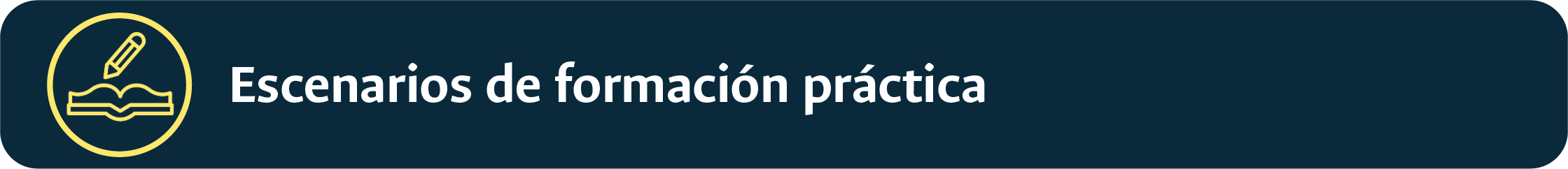 Escenarios de formación práctica